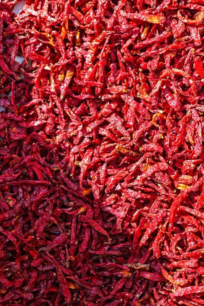 Dried red chillies
