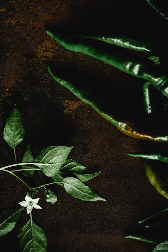 Green chillies on the plant
