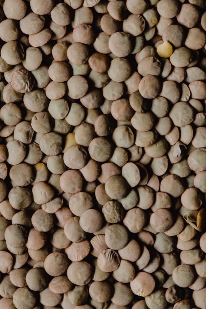 Brown lentils close-up