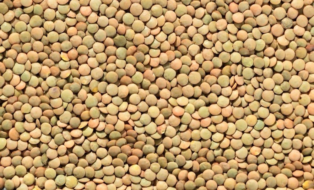 Green lentils close-up