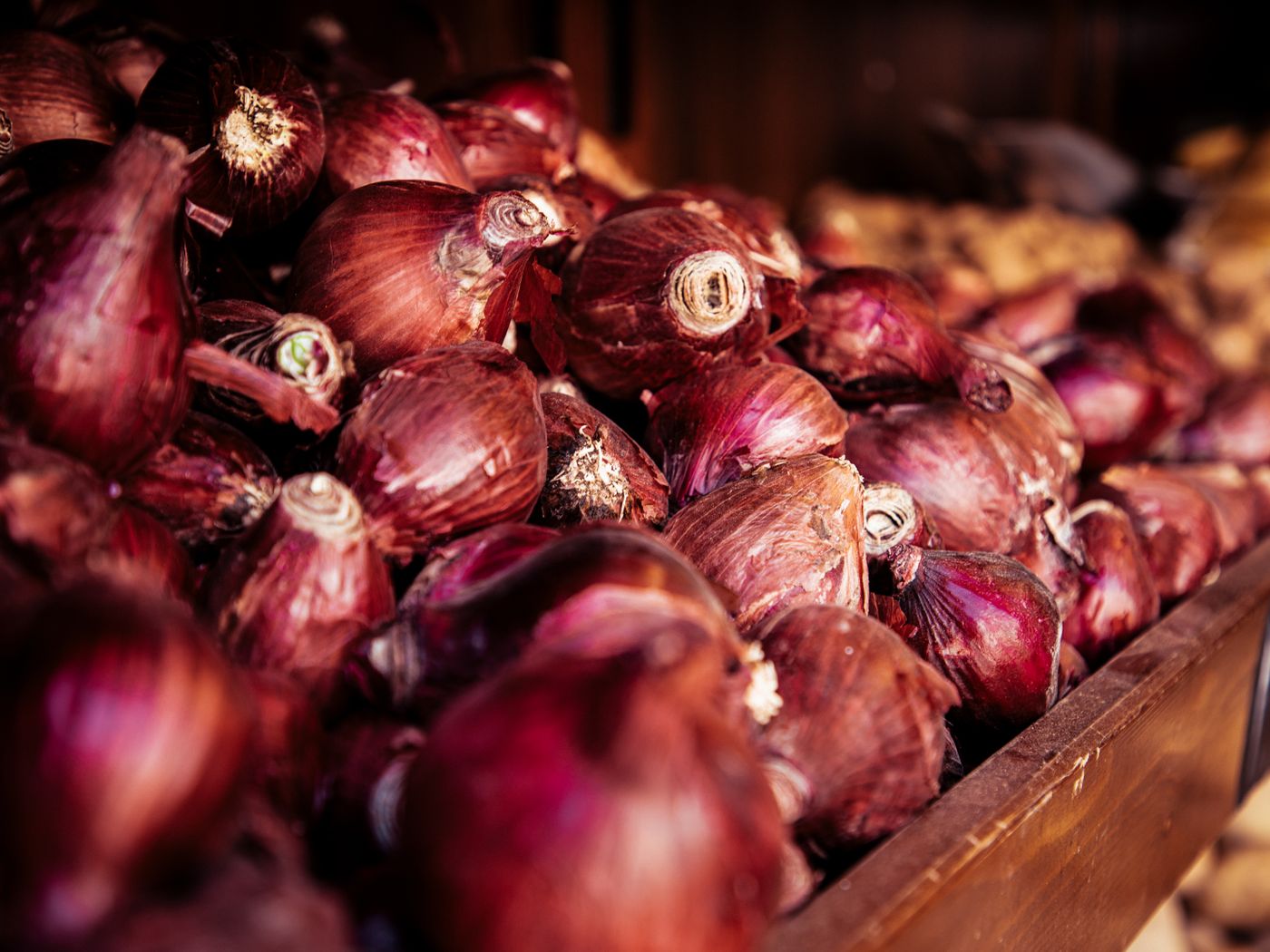 Red onions with golden skins