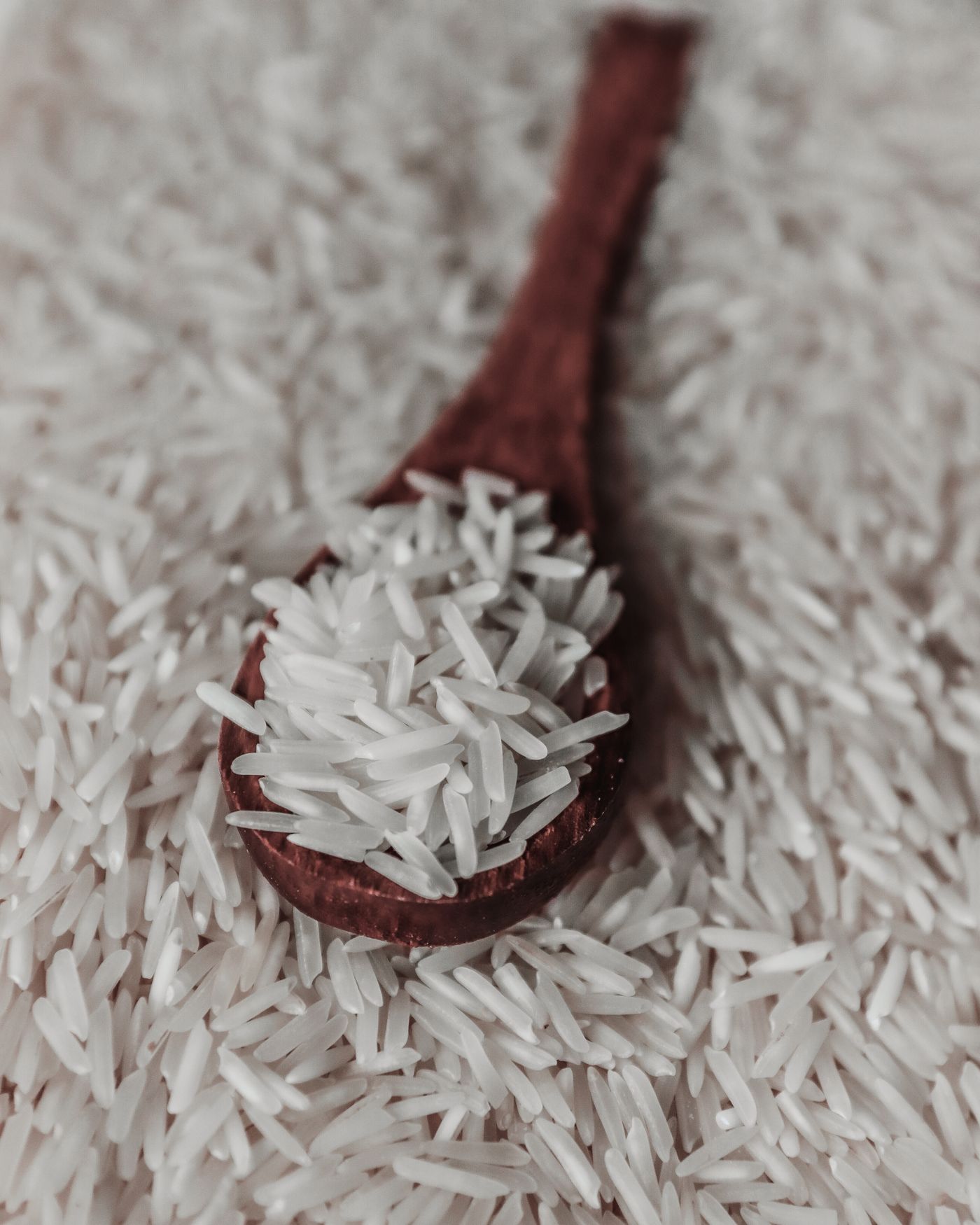 1401 basmati grains on a wooden spoon