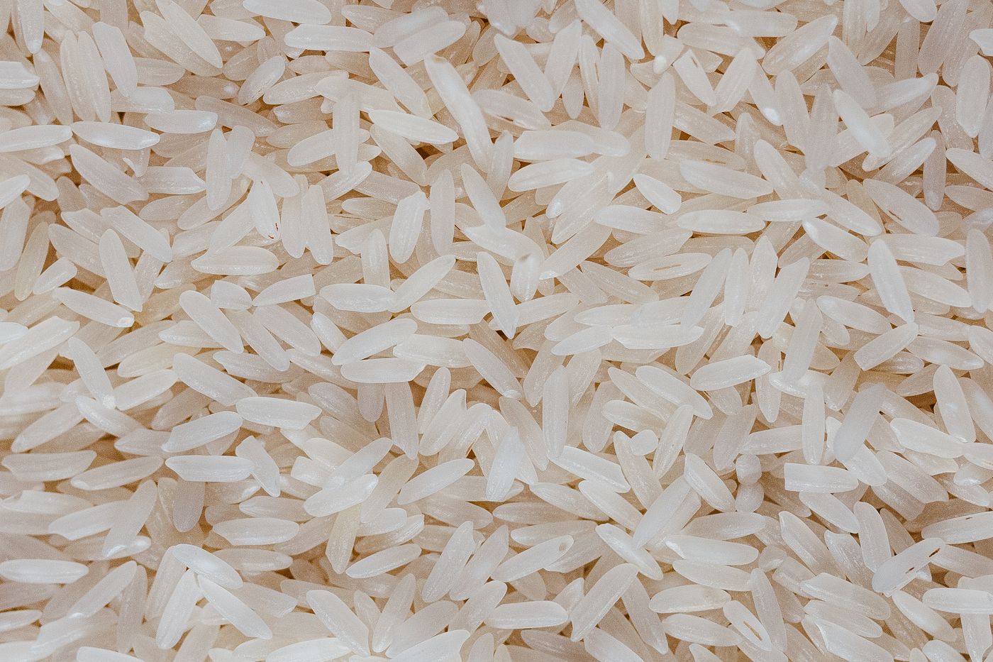 Sharbati long-grain white rice